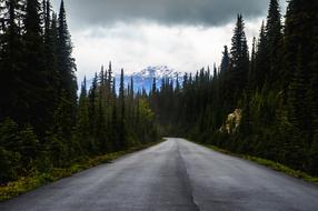 Canada Mountain road Landscape