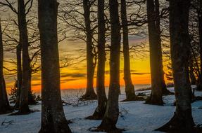 Kandel Black Forest at Sunset