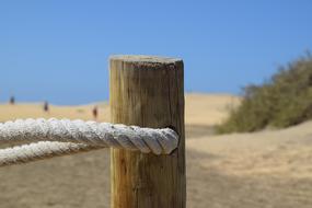 Close-up of the wooden pole with ripe fence, on the sandy beach with green plants, in Spain