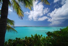 landscape of Caribbean Beach Blue Water