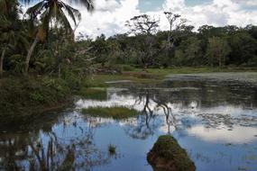 water in jungle in sri lanka