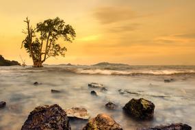 yellow twilight over picturesque landscape