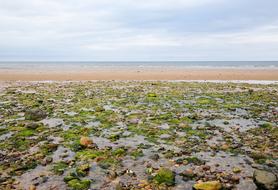 Beautiful and colorful beach of the sea in Scotland, under the sky with clouds