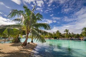 Tropical Sea Blue coast