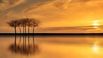 yellow dawn over a quiet lake