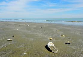 landscape of Sea Waters Beach
