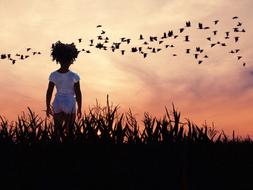 Kid on field at sunset