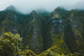 Beautiful landscape of the mountains with colorful plants, in the fog, in the fall