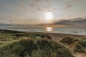 dunes on the north sea coast at dusk