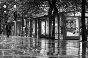 Black And White photo of street City