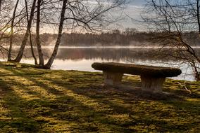 Nature Landscape Tree and lake