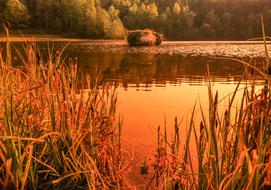 WKrufter Waldsee aters Nature