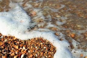 waves with foam on the beach with seashells