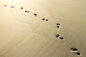 Sand Beach footprint