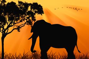 clipart of Elephant Silhouette at Sunset