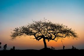 Beautiful landscape with the silhouettes of the trees and people, at colorful and beautiful sunset