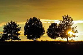 Beautiful landscape with silhouettes of the trees, at colorful and beautiful sunset with clouds