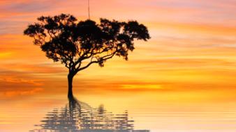 Sunset Sun Vacations