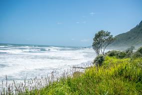 New Zealand Nature Landscape