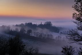 Nature Sunset Panoramic forest