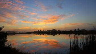 lakeside plant during sunrise in florida