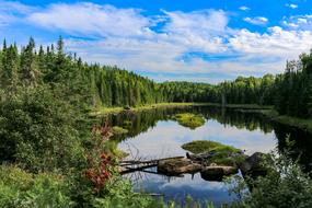 calm blue Lake in green forest