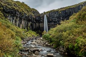 Waters Nature Waterfall