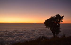 silhouettes at sunrise