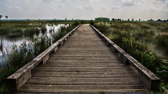 Landscape of Wooden Bridge near water