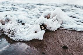 Close Up photo of sea Wave Foam