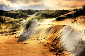 dunes as art on the north sea coast