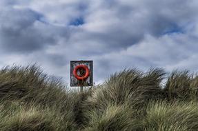 Lifebelt in the grass on the coast