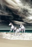 unicorns on the beach near the sea