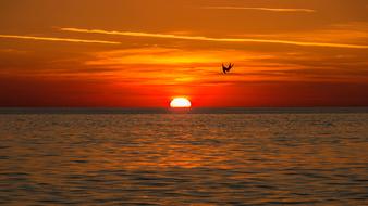 Sea Beach at bright Sunset