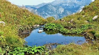 Alps Mountain Pastures Water