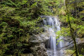 Water Nature Wood