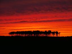 Beautiful landscape with the silhouettes of the trees, at beautiful, red and orange sunset with clouds