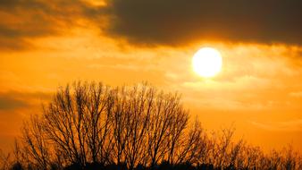 Landscape with the silhouettes of the trees, at colorful and beautiful sunset in the sky with clouds
