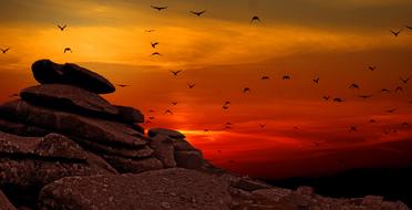 silhouettes of birds over rock formations at dusk