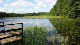 Lake Water Landscape