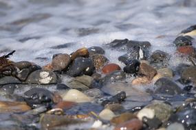 Waters Baltic Sea Pebbles on Beach