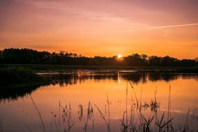 bank River at Sunset landscape