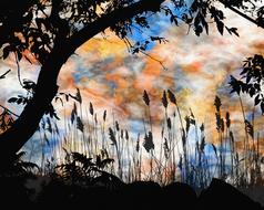 landscape sunset sky summer