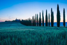 Landscape of Nature Sky at sunset