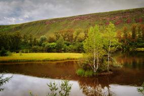 trees by the river in autumn in cloudy weather