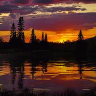 silhouettes of trees near the lake during sunset at dusk