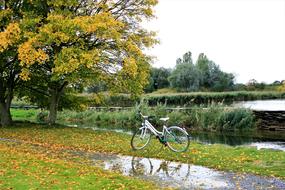 Bike Autumn Gold Foliage