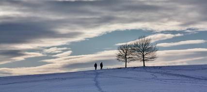 Winter Snowy Nature landscape