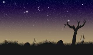 Beautiful landscape with the plants and rocks, at colorful and beautiful starry sky with stars, at the night, clipart