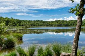 landscape of Lake Nature Italy